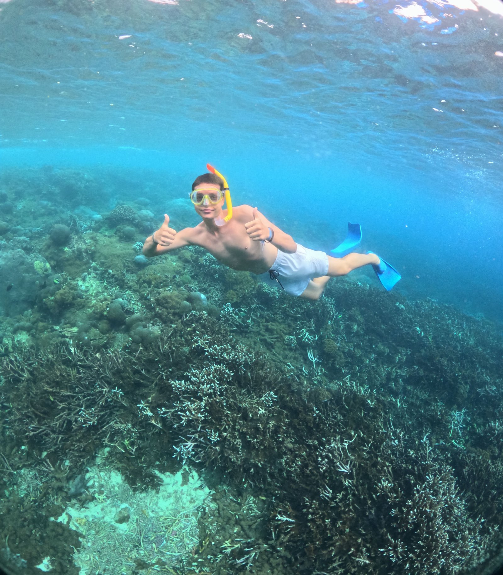 Smiley Snorkeling Trip