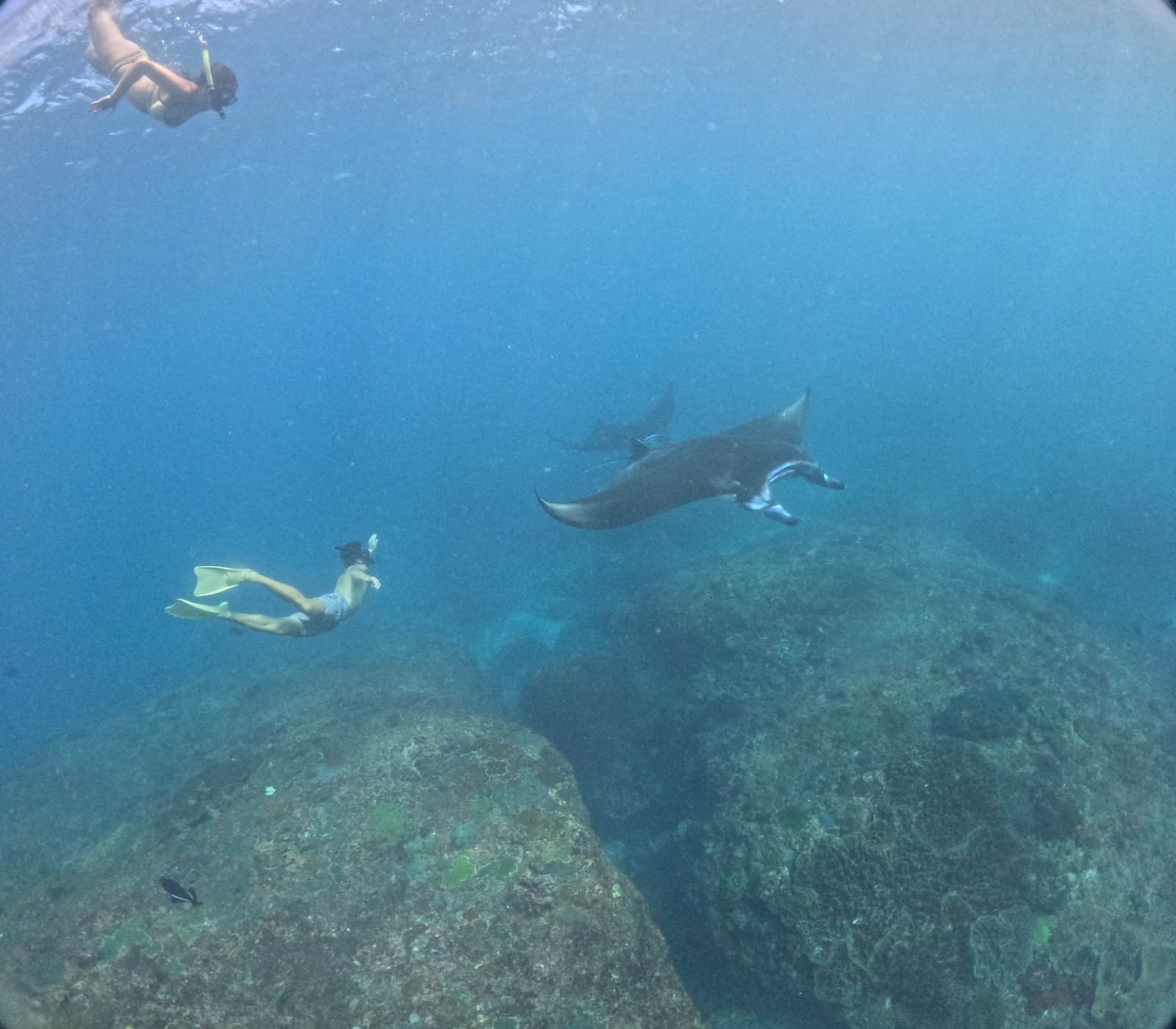 Smiley Snorkeling Trip
