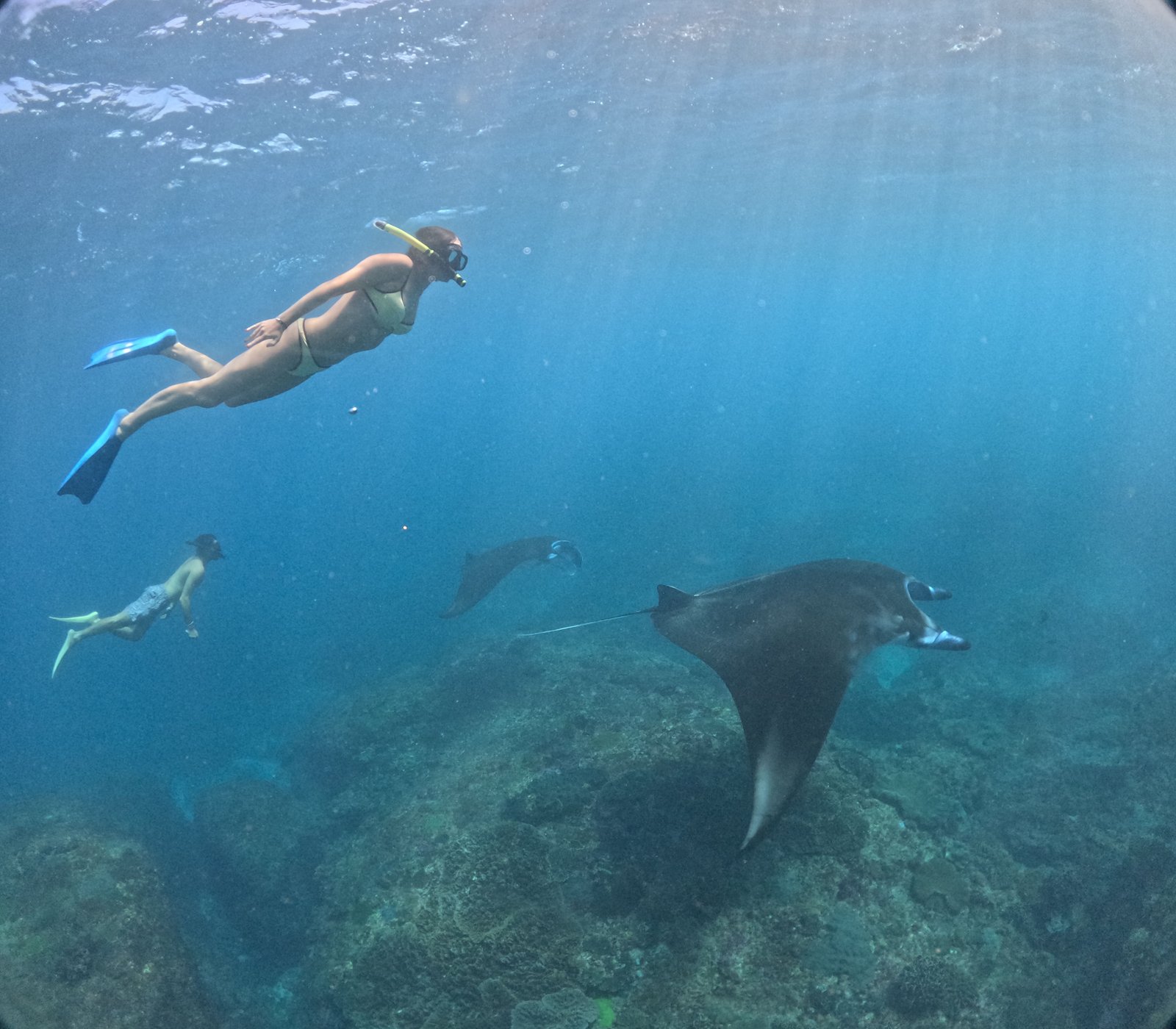 Smiley Snorkeling Trip