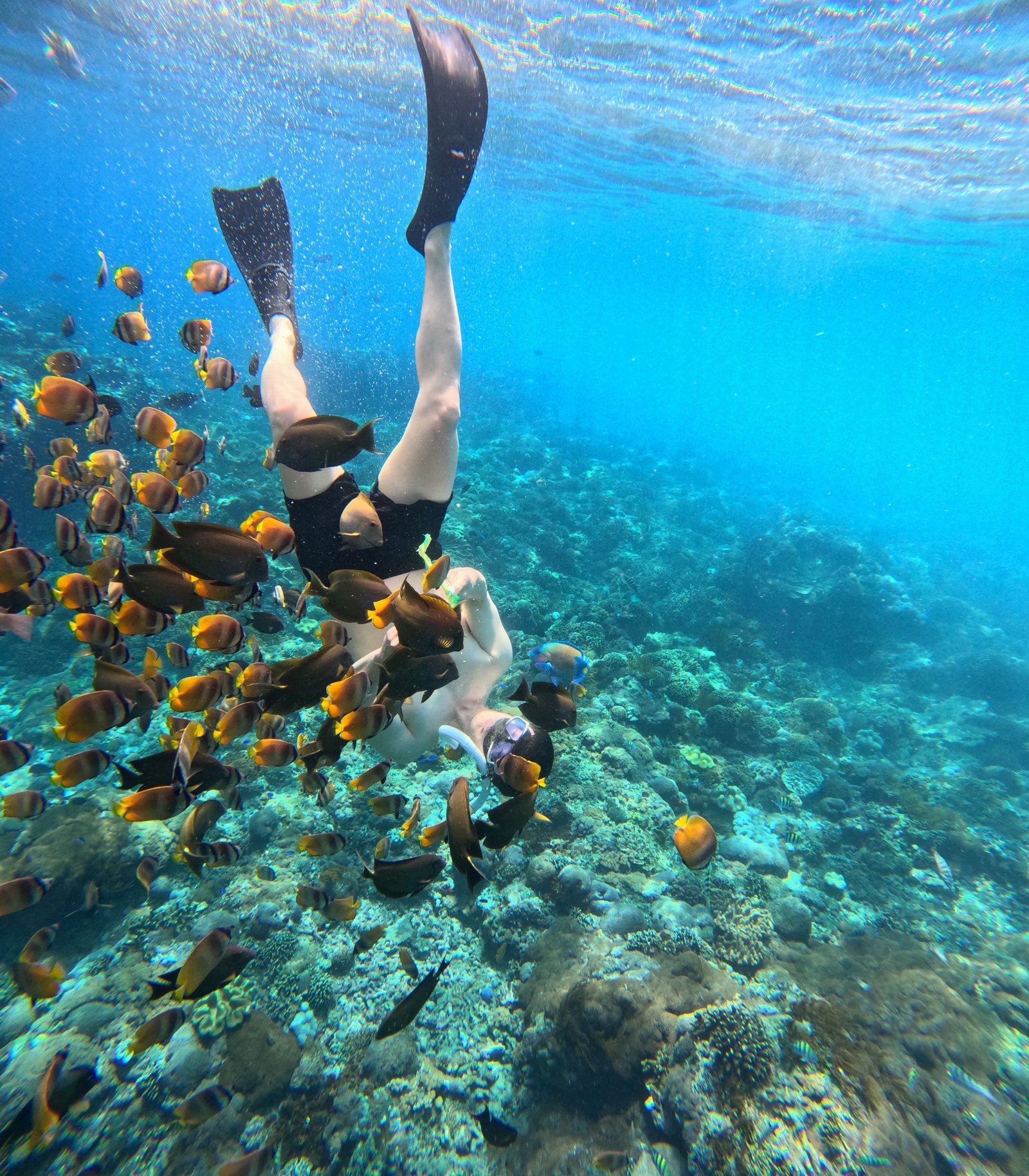 Smiley Snorkeling Trip